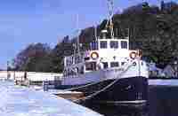 Jacobite Cruiser - Abriachan Nurseries