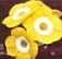 Auricula Golden Fleece